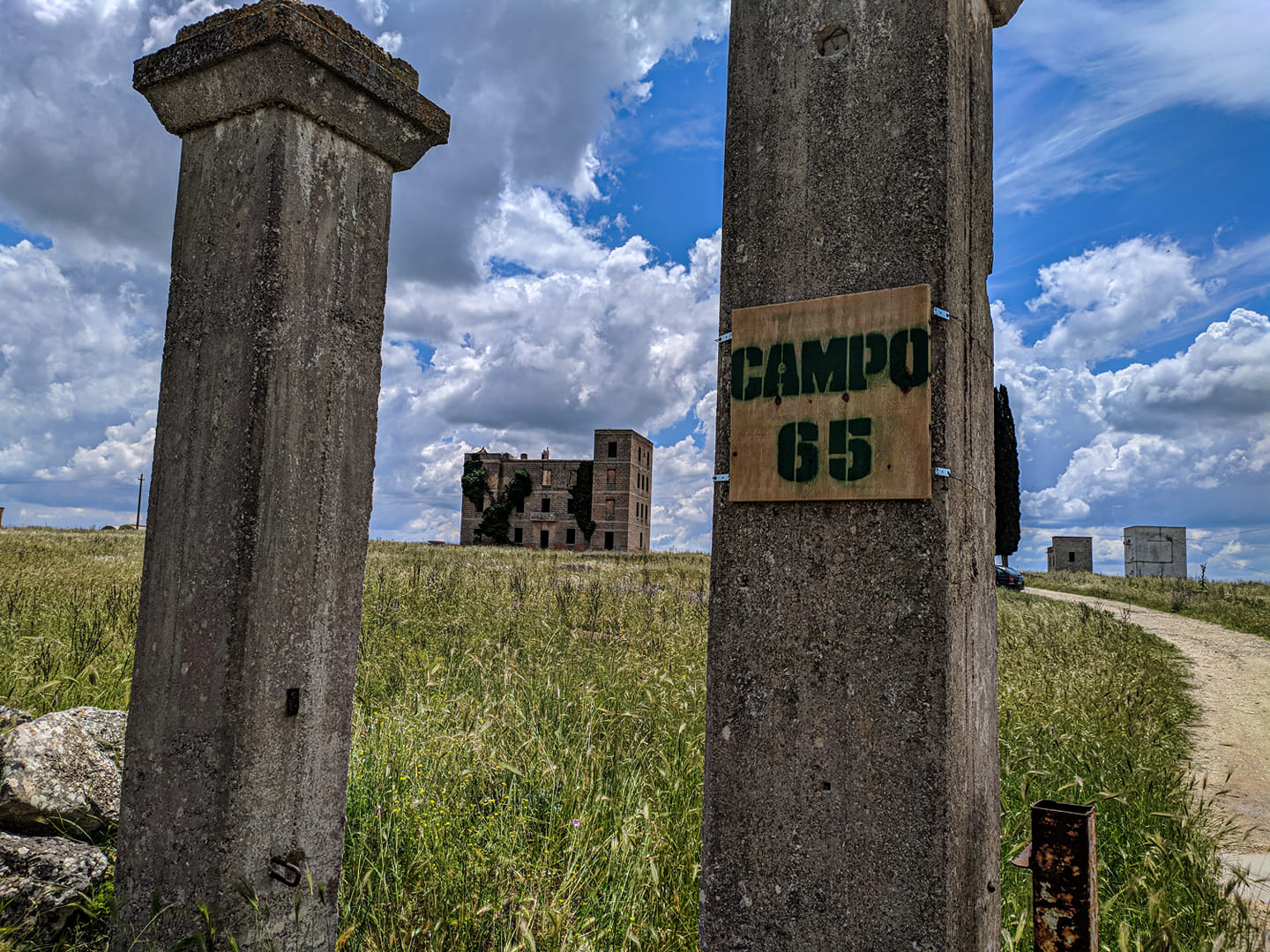 Campo65