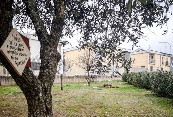 agorateca orto