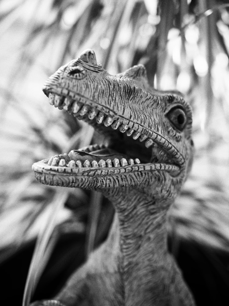 t rex