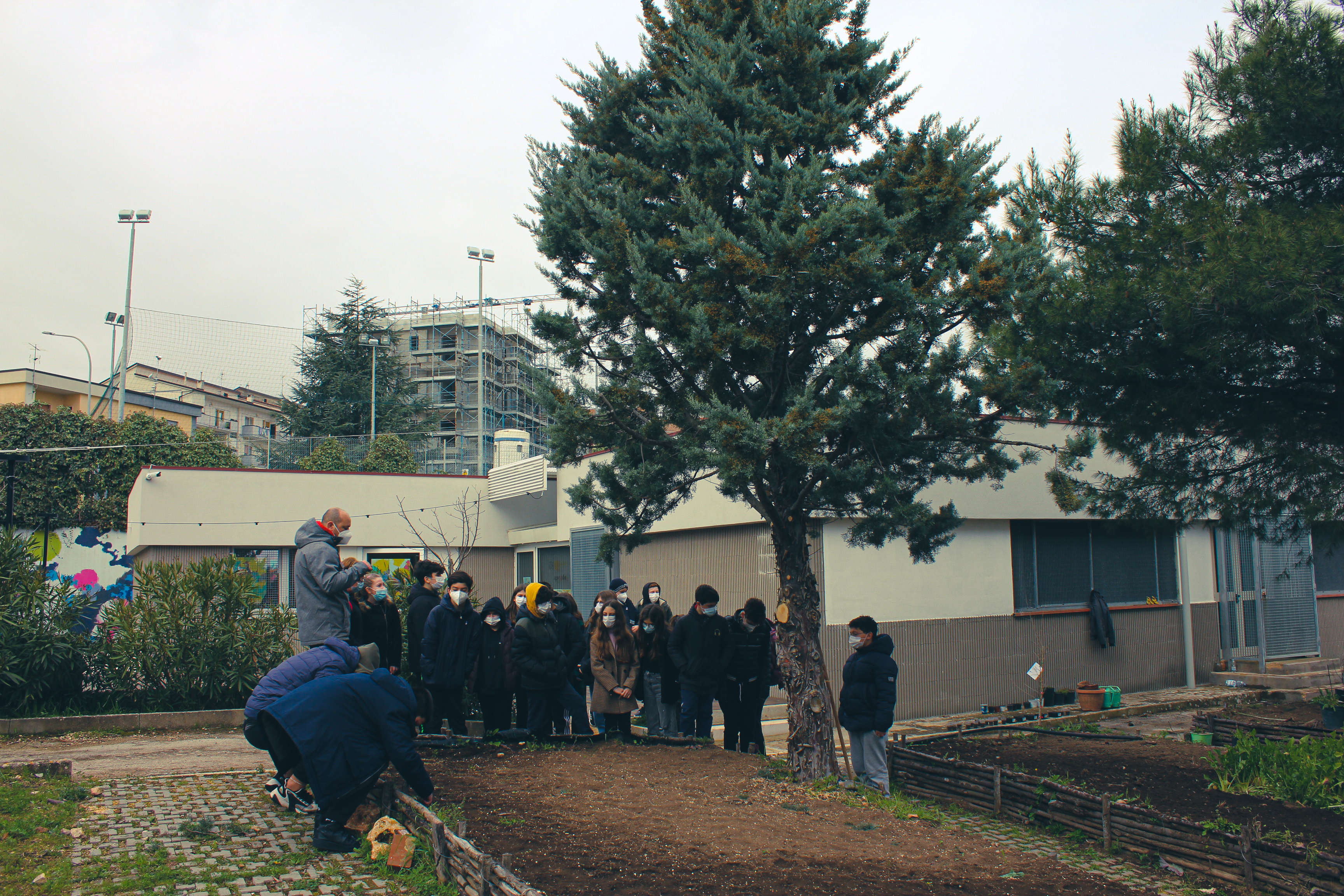 Chi semina raccoglie alberi da frutto 2
