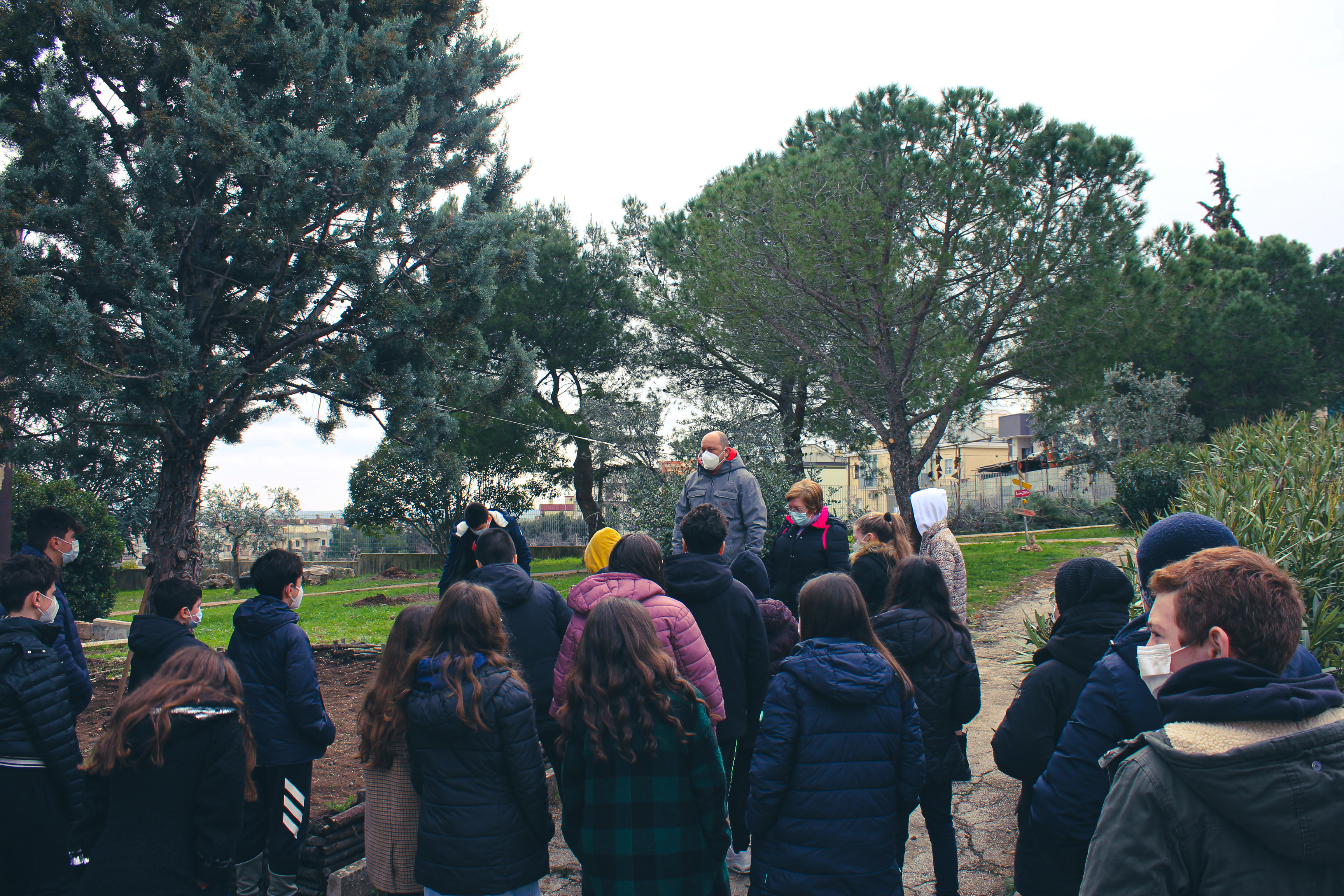 Chi semina raccoglie alberi da frutto 3