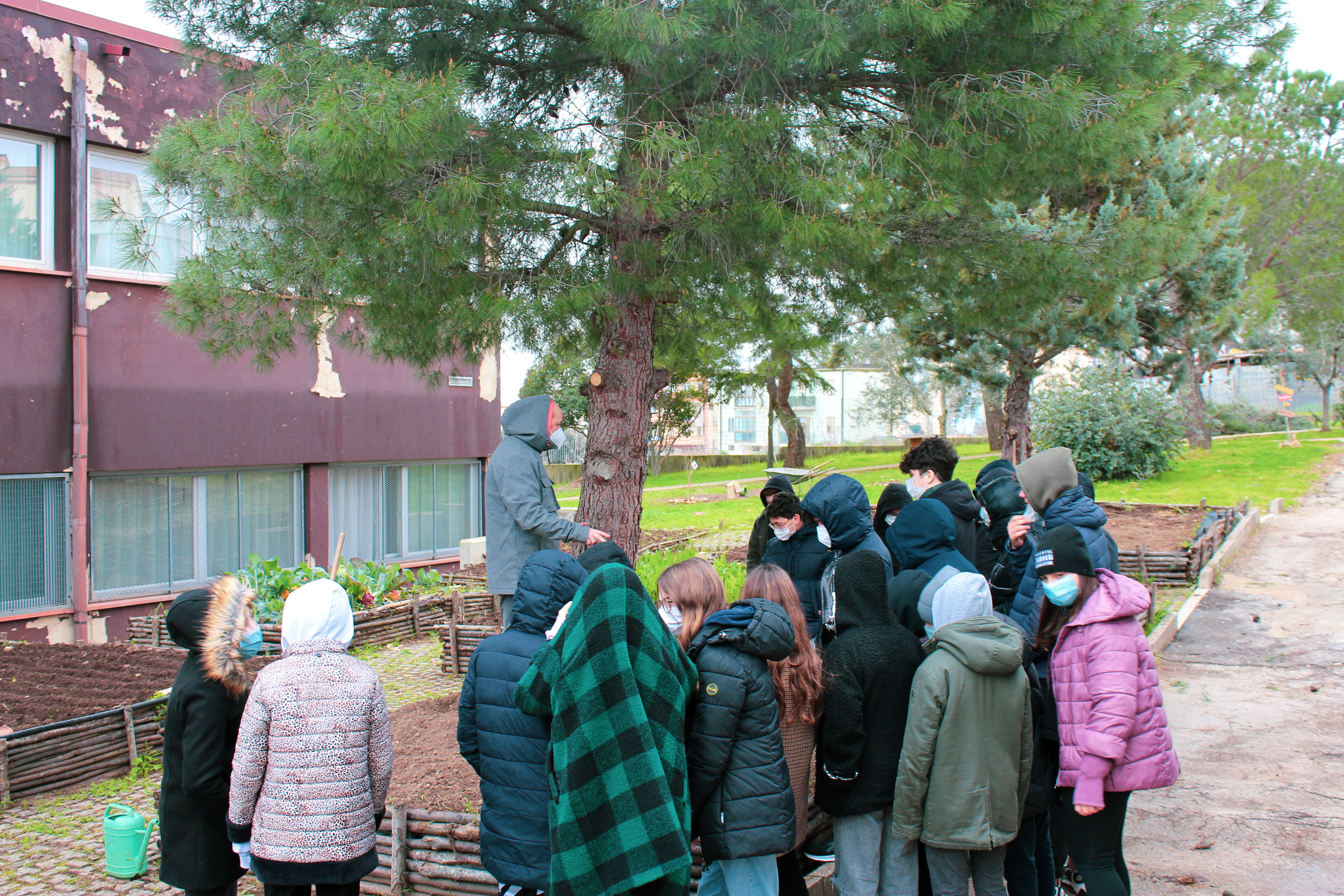 Chi semina raccoglie alberi da frutto 4