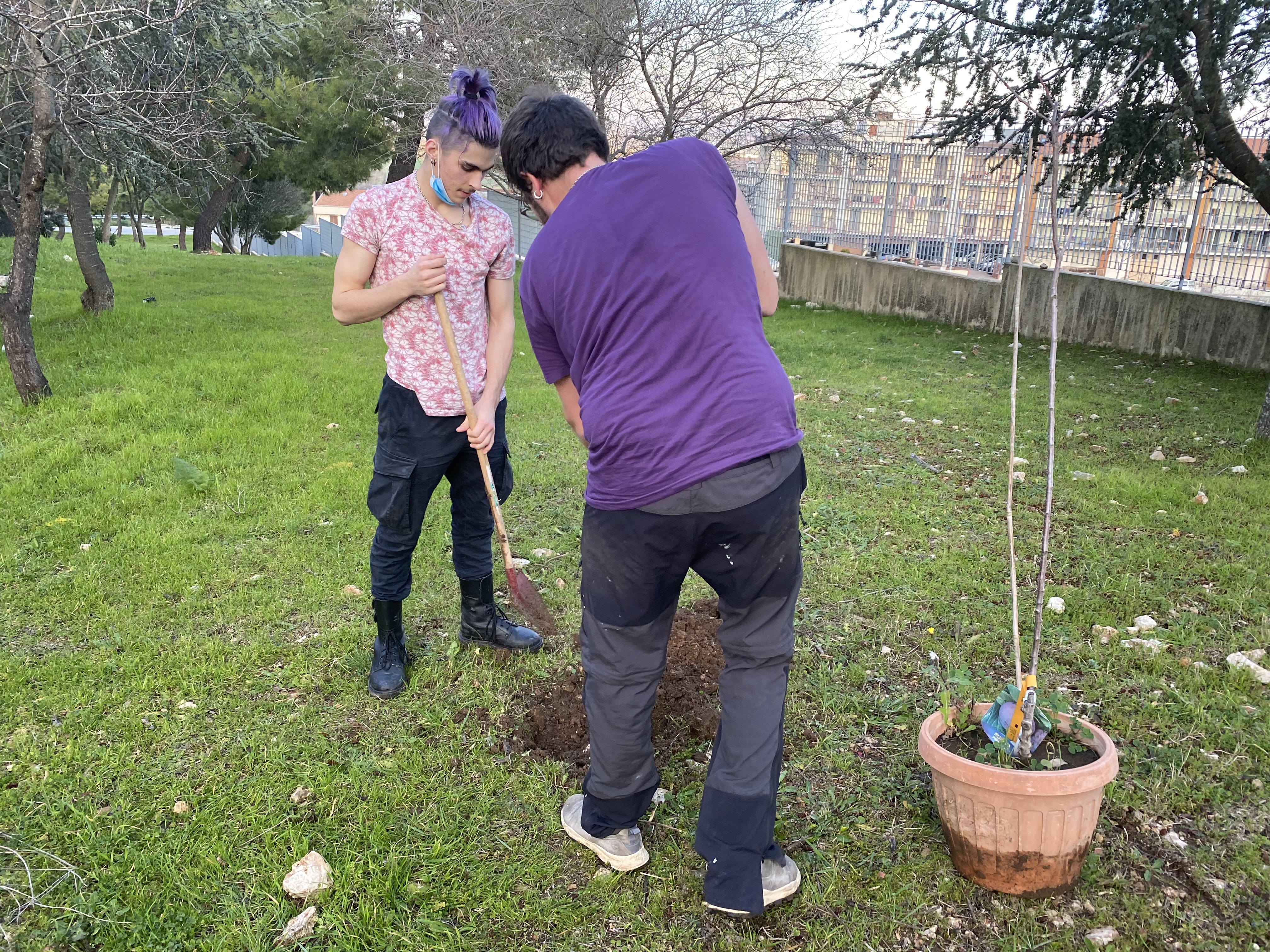 Chi semina raccoglie nuovi alberi 2