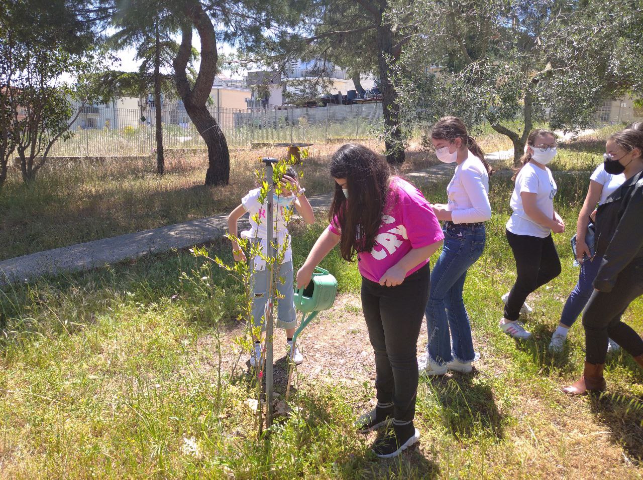 Nostro giardino 2