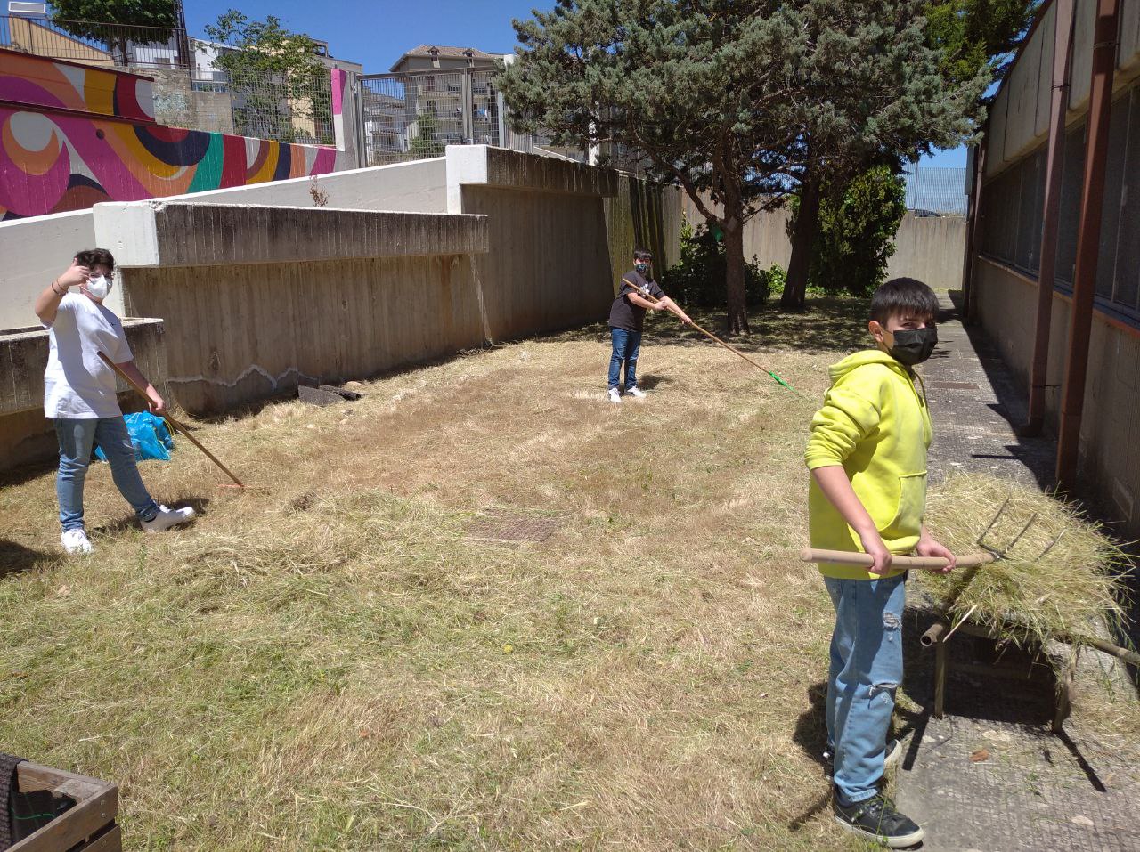 Nostro giardino 3