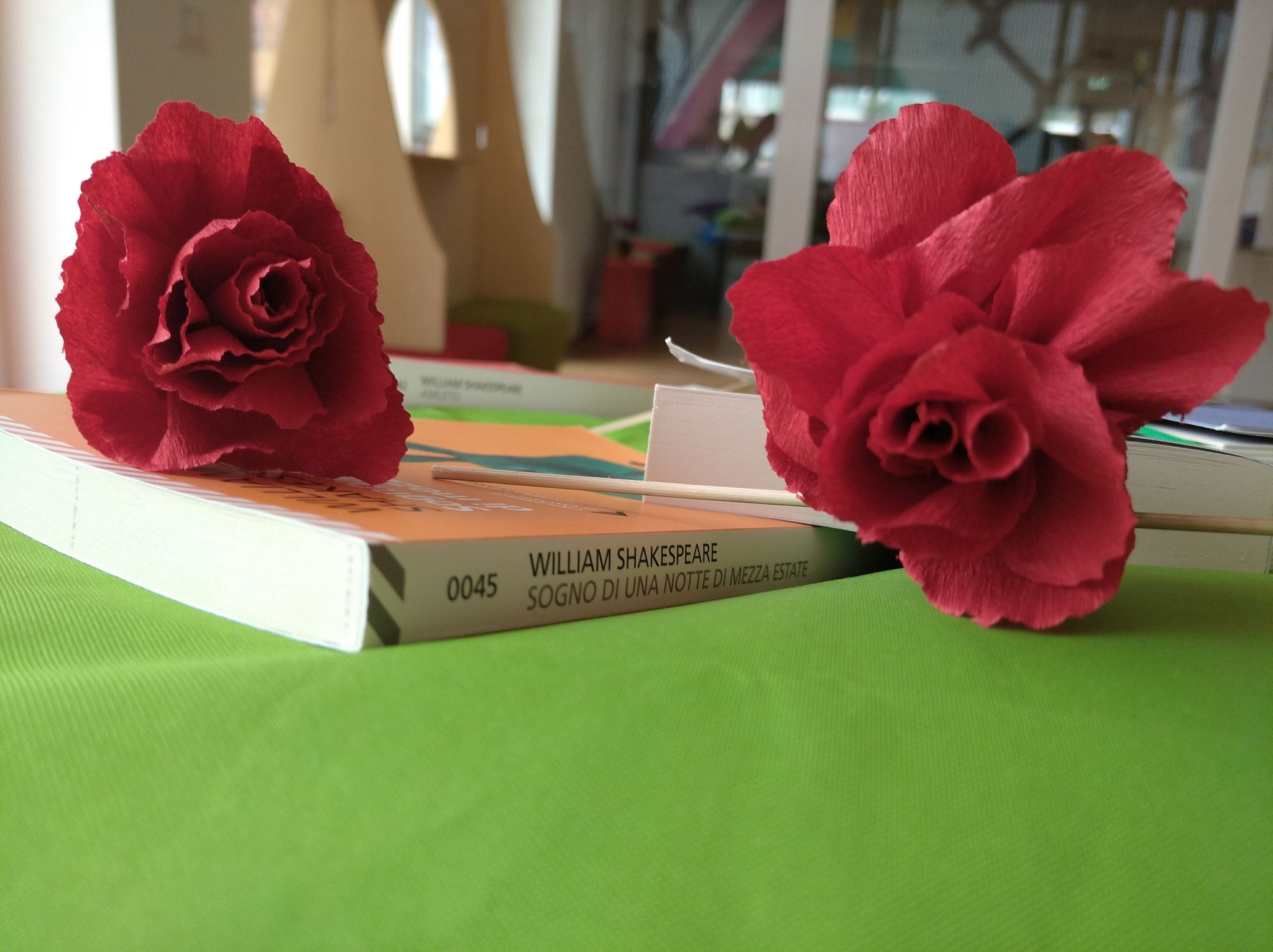 libro rosa3