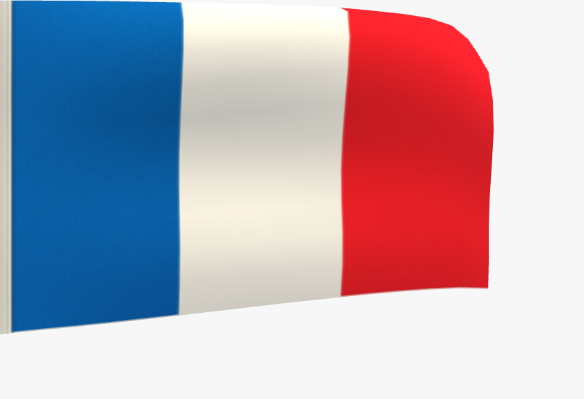 FLAG FRANCIA