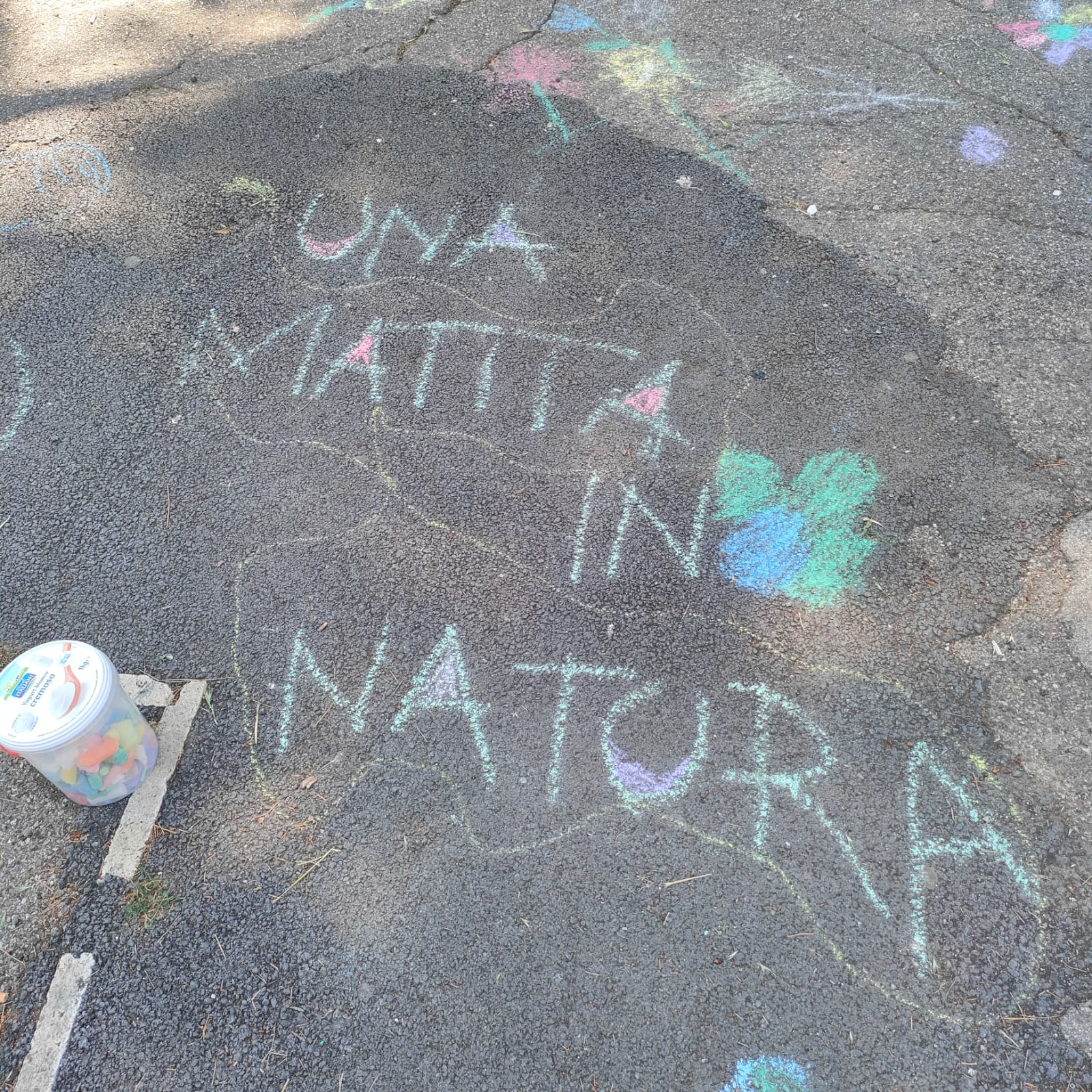 Una matita un natura passeggiata conclusiva