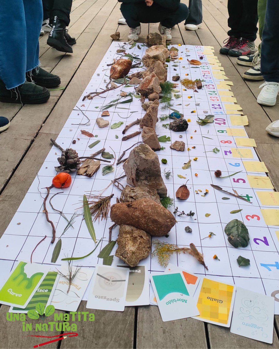 Gruppo una matita in natura