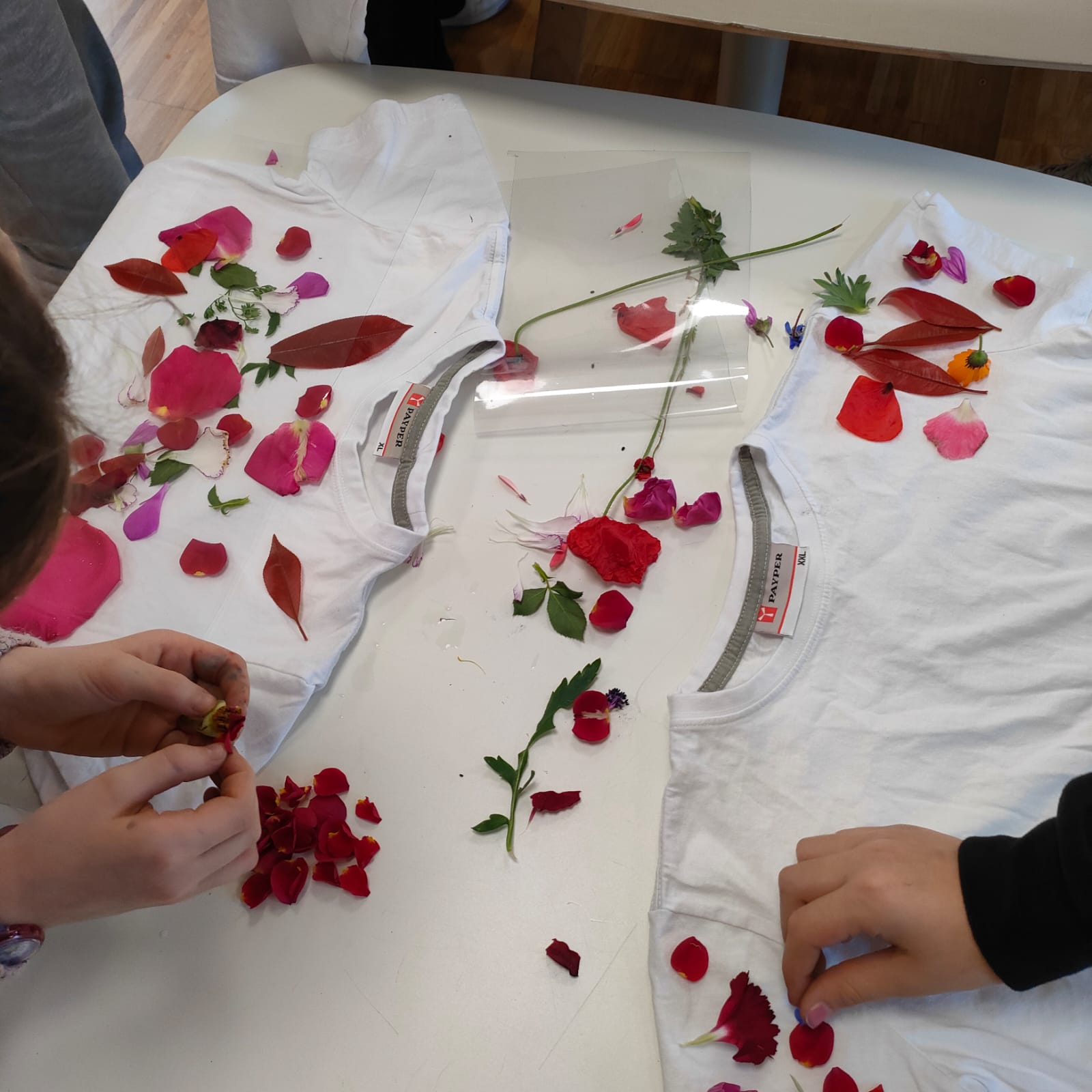 Immaginare una città più verde e senza rifiuti 2